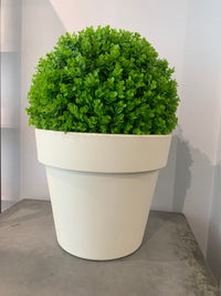 Topiary Balls Outlet
