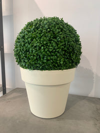 Topiary Balls Outlet