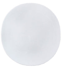Shell Dinner Plate