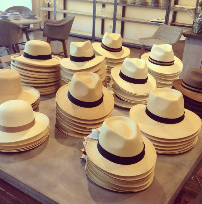 New Fedora Panama Hat