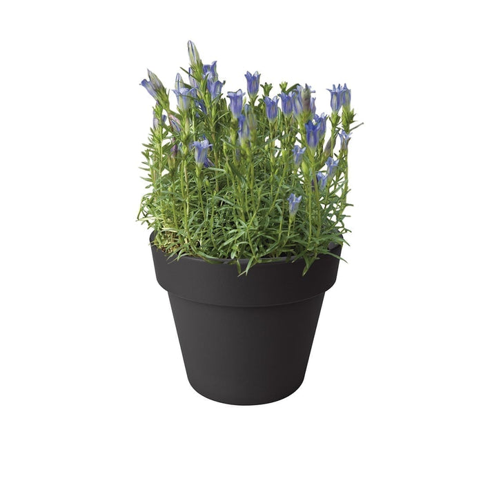 Green Basics Top Planter